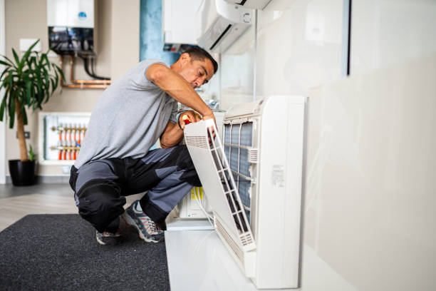 Air Duct Mold Removal in SC
